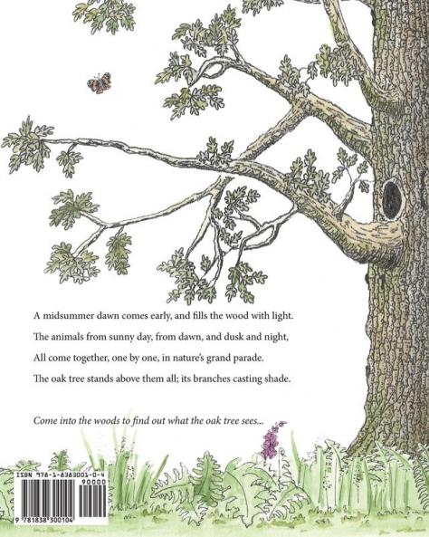What The Oak Tree Sees (The World of Hiddel Brock Wood)