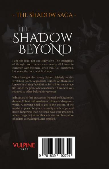 The Shadow Beyond