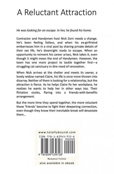 A Reluctant Attraction: 3 (Handymen)