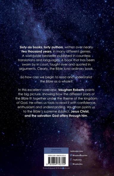 God's Big Picture