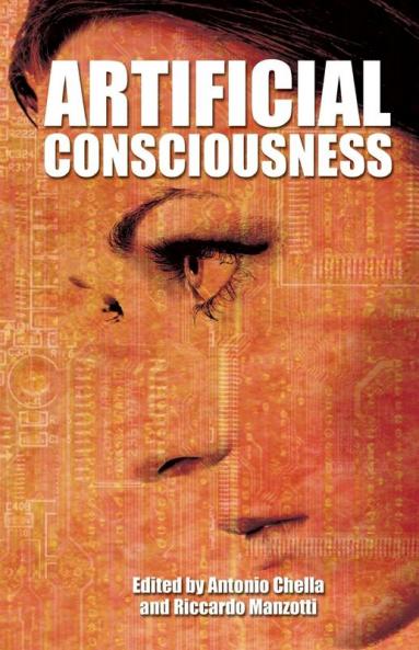 Artificial Consciousness