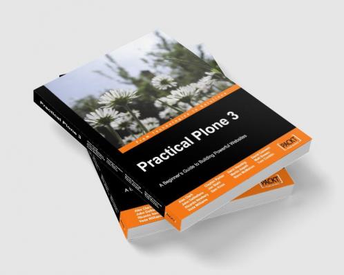 Practical Plone 3: A Beginner's Guide to Building Powerful Websites