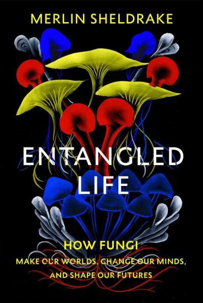 Entangled Life: How Fungi Make Our Worlds Change Our Minds and Shape Our Futures