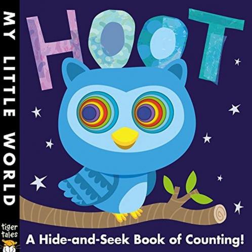 Hoot: A hole-some book of counting (My