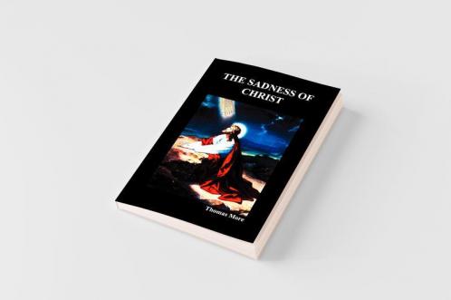 The Sadness of Christ