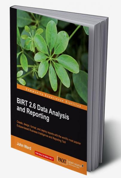 Birt 2.5 Data Analysis and Reporting