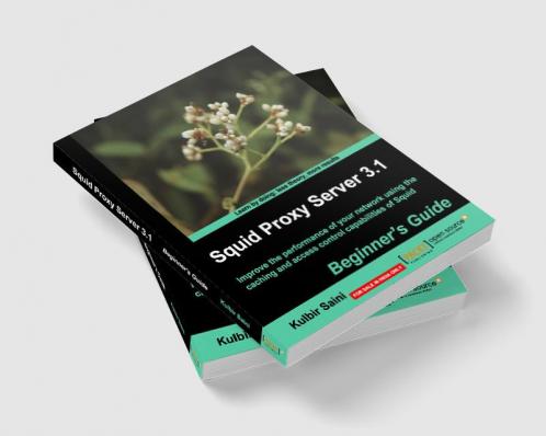 Squid Proxy Server 3.1