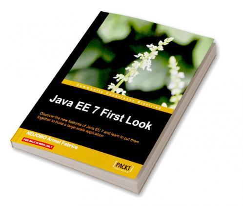 Java Ee 7 First Look