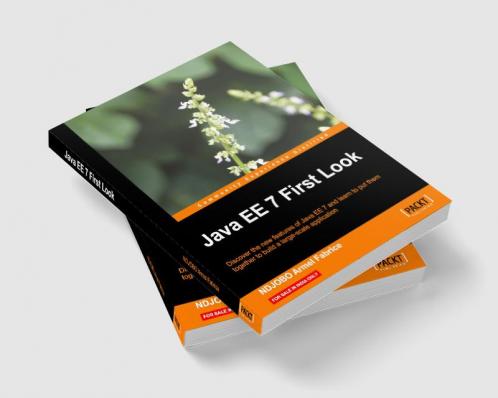 Java Ee 7 First Look