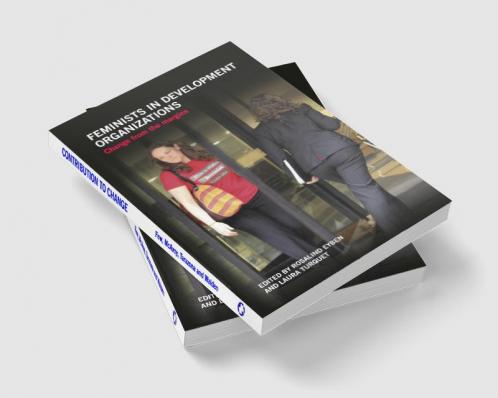 Feminists in Development Organizations