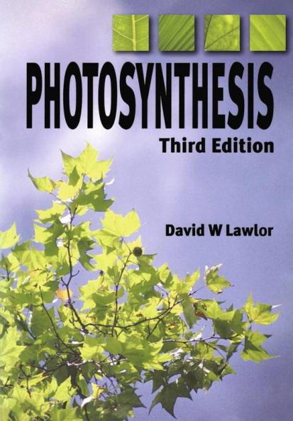 Photosynthesis