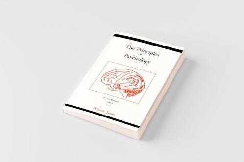 The Principles of Psychology (Vol 1)