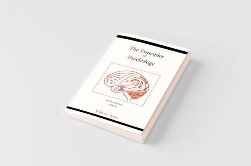 The Principles of Psychology (Vol 2)