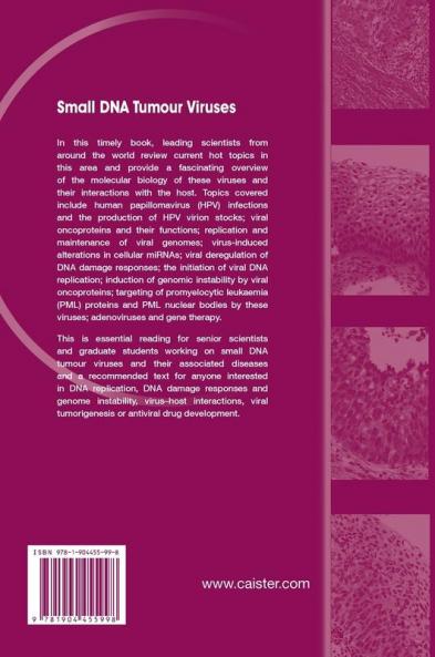 Small DNA Tumour Viruses