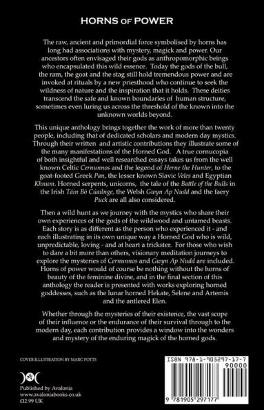 Horns of Power: An Anthology of Essays Concerning the Homed God - Experiences Mythology History and Ritual