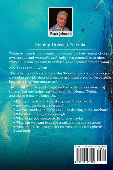 The Mentor Within: Unleash Your Potential Into The World