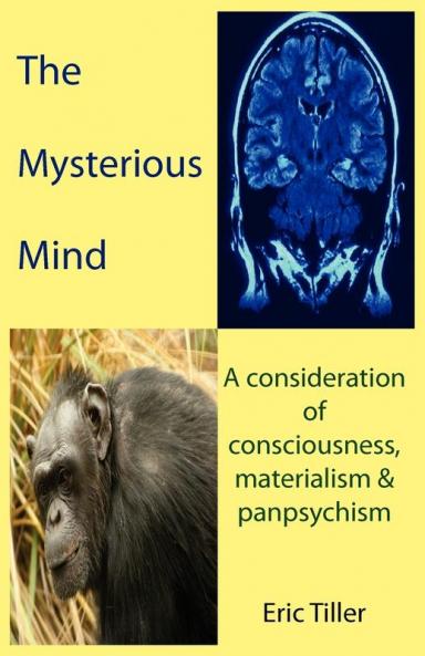 The Mysterious Mind: A Consideration of Consciousness Materialism & Panpsychism