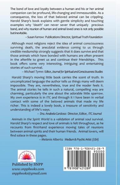 Animals in the Spirit World