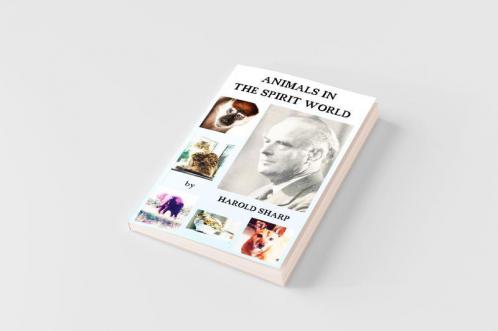 Animals in the Spirit World