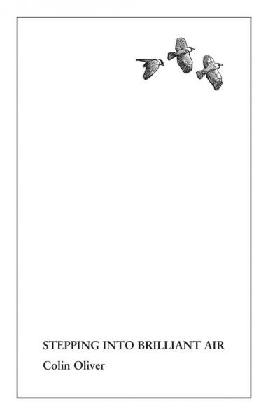 Stepping Into Brilliant Air