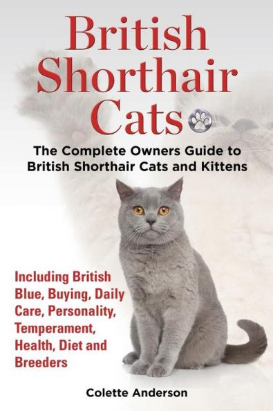 British Shorthair Cats The Complete Owners Guide to British Shorthair Cats and Kittens  Including British Blue Buying Daily Care Personality Temperament Health Diet and Breeders