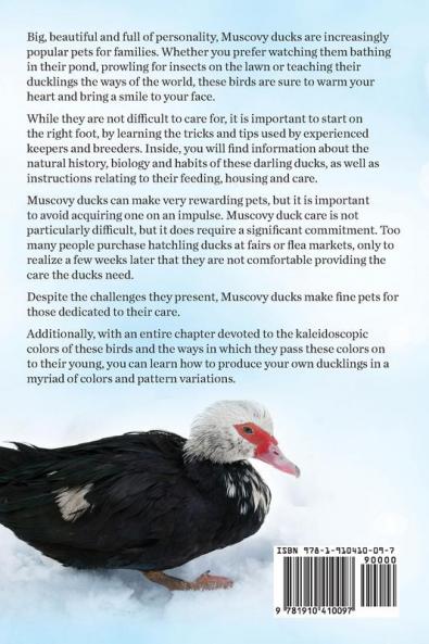 Muscovy Ducks as Pets. Muscovy Duck Owners Manual. Muscovy Duck Pros and Cons Care Housing Diet and Health All Included.