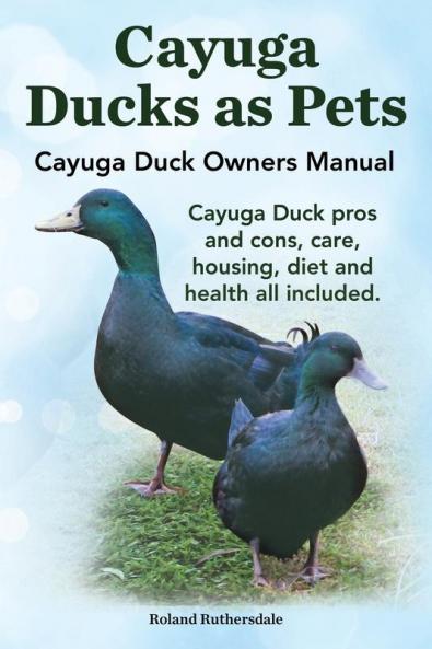 Cayuga Ducks as Pets. Cayuga Duck Owners Manual. Cayuga Duck Pros and Cons Care Housing Diet and Health All Included.