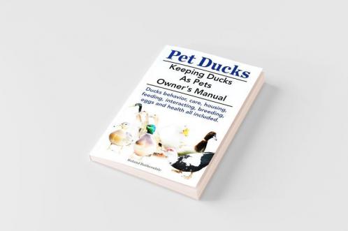 Pet Ducks. Keeping Ducks as Pets Owner