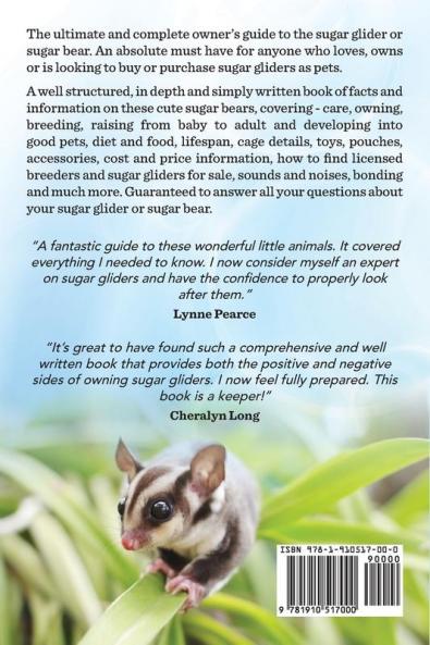 Sugar Gliders or Sugar Bears