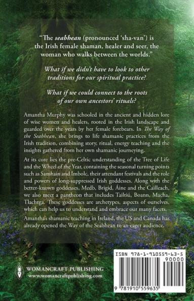 The Way of the Seabhean: An Irish Shamanic Path