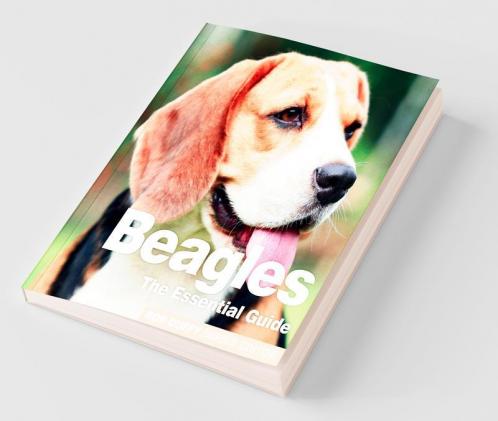 Beagles