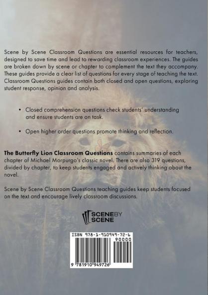 The Butterfly Lion Classroom Questions