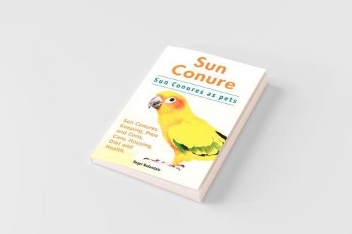 Sun Conure. Sun Conures as pets. Sun Conures Keeping Pros and Cons Care Housing Diet and Health.