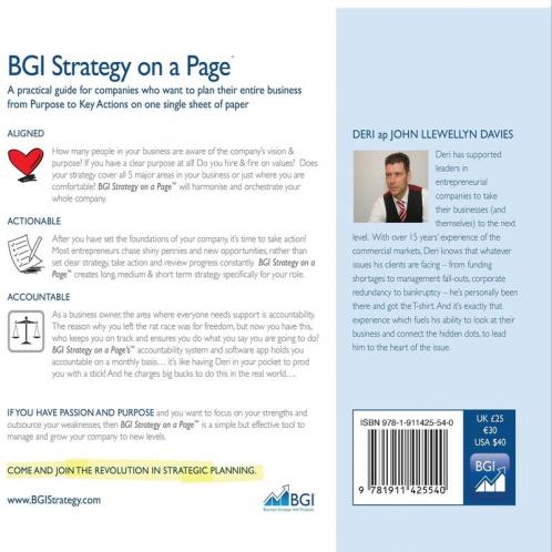 BGI Strategy on a Page