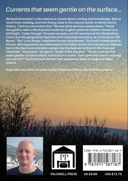 Life Lessons: Poems by Richard Aronowitz