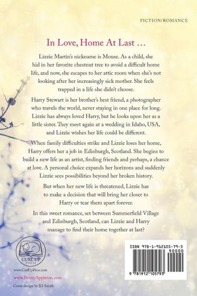Love Home At Last: Large Print Edition: 3 (Summerfield Sweet Romance)