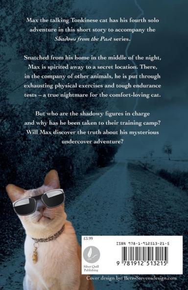 Max's Undercover Adventure: 12 (Shadows from the Past)