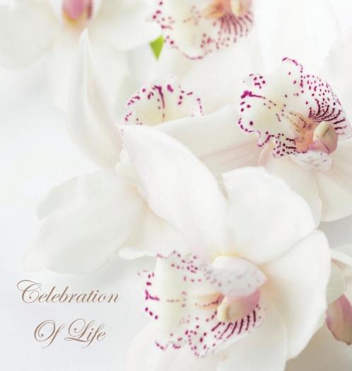 Celebration of Life In Loving Memory Funeral Guest Book Wake Loss Memorial Service Love Condolence Book Funeral Home Missing You Church Thoughts and In Memory Guest Book (Hardback)