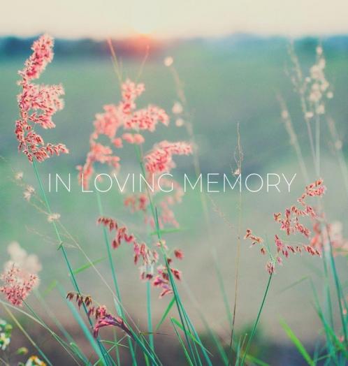 Condolence book for funeral (Hardcover): Memory book comments book condolence book for funeral remembrance celebration of life in loving memory ... guest book memorial service guest book