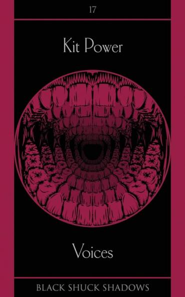 Voices: 17 (Black Shuck Shadows)