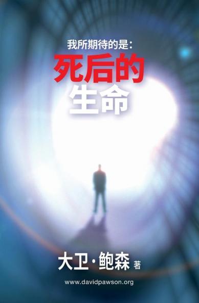 我所期待的是：死后的生命 - Life After Life After Death