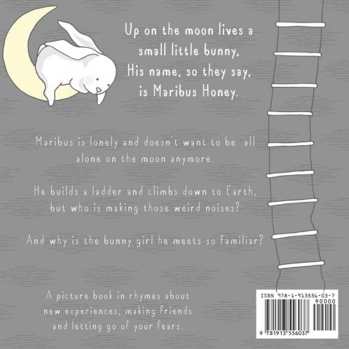 The Bunny on the Moon