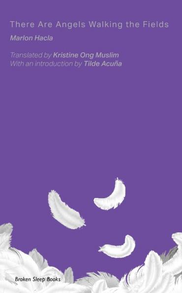 There Are Angels Walking the Fields