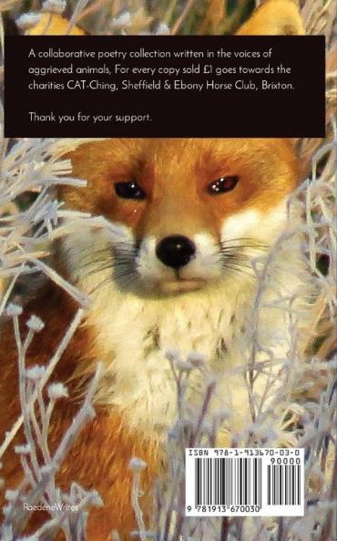 ZOO Nation: Cover image by Sonia Hill