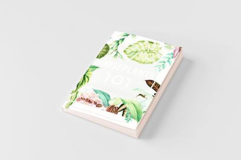 Houseplants 101
