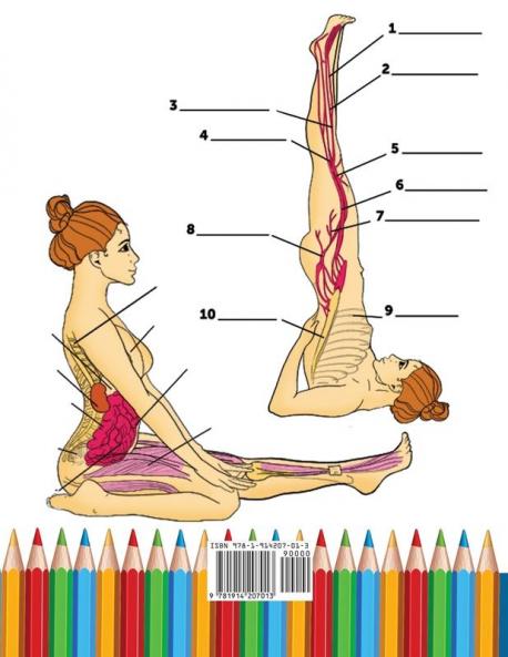 Yoga Anatomy Coloring Book for Intermediates