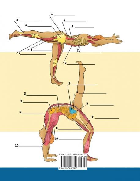 Yoga Anatomy Coloring Book for Experts