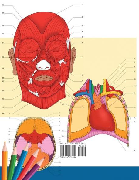 Neuroanatomy + Anatomy and Physiology Coloring Book