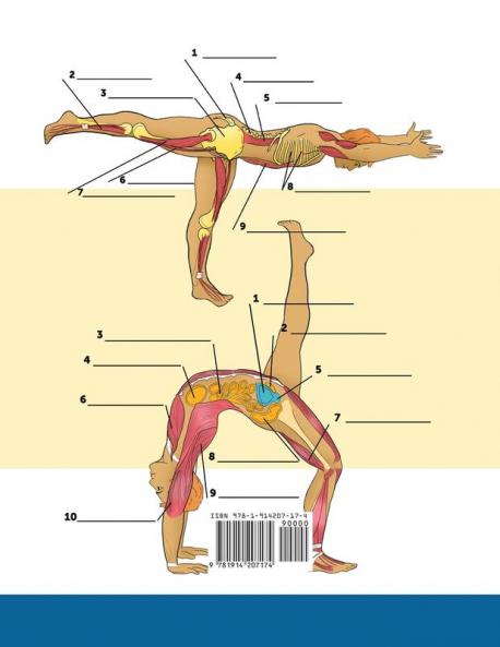 Yoga-Anatomie-Malbuch für Experten: 50+ Unglaublich Detailliertes Arbeitsbuch zum Selbsttest von Fortgeschrittenen Yoga-Posen in Farbe | Das Perfekte ... -Lehrner und -Begeisterte (German Edition)