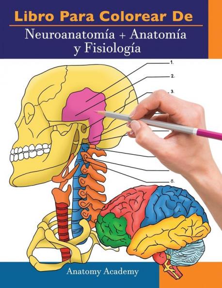 Libro para colorear de Neuroanatomía + Anatomía y Fisiología: 2-en-1 compilación | Libro de colores de autoevaluación para estudiar muy detallado para Estudiar y Relajarse (Spanish Edition)